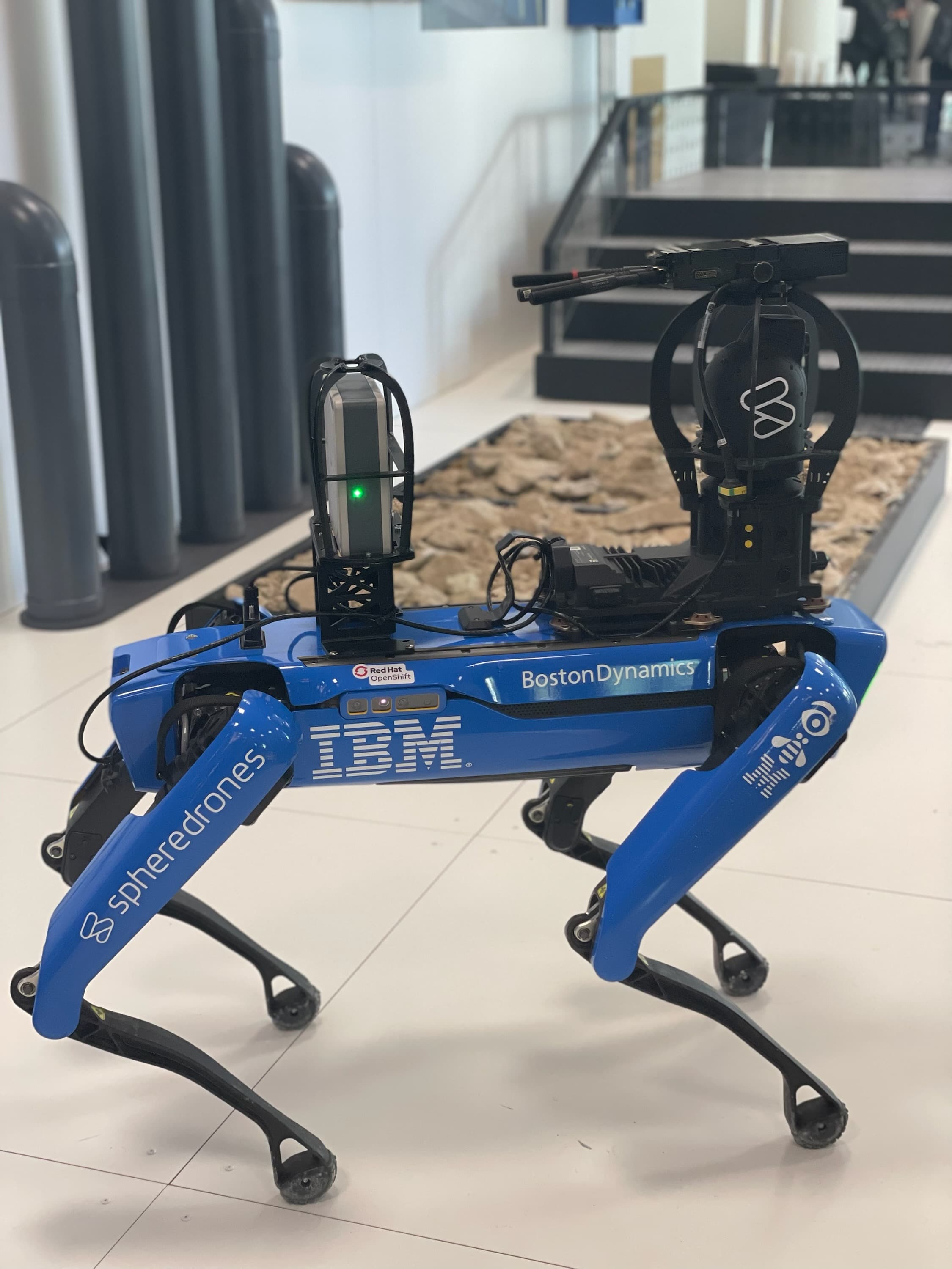 Gartner dog